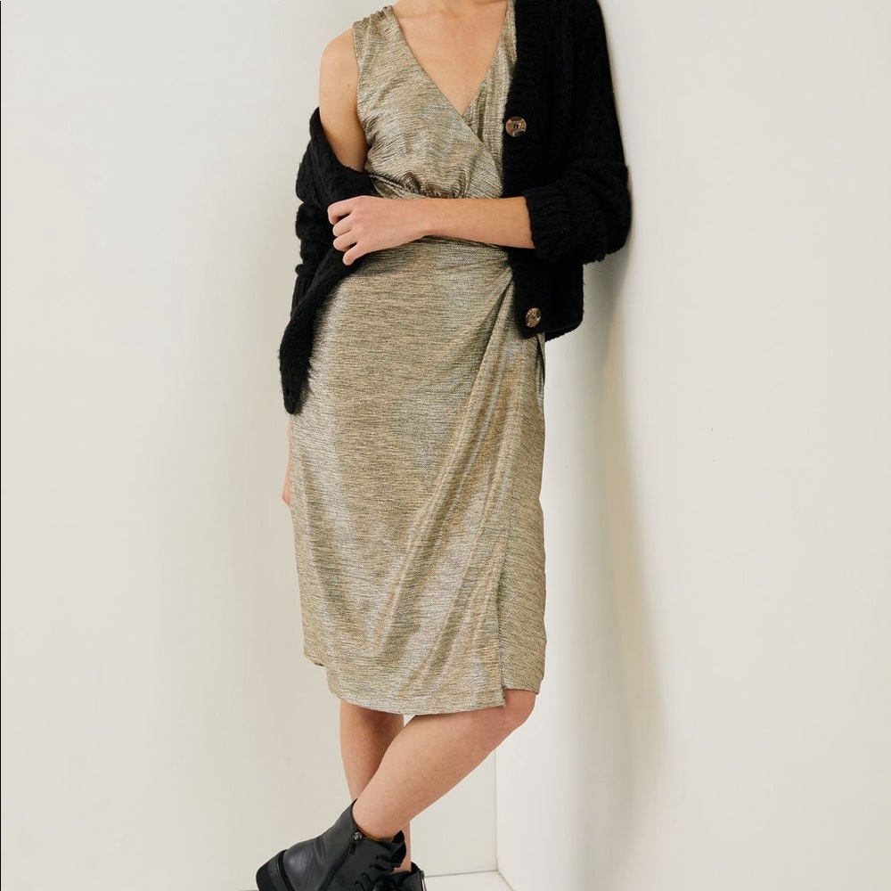 Anthropologie-Kari Metallic MIDI Dress